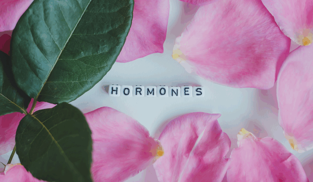 Perimenopauza, menopauza, postmenopauza: Kompletní průvodce fázemi
